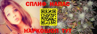 наркотики Кингисепп